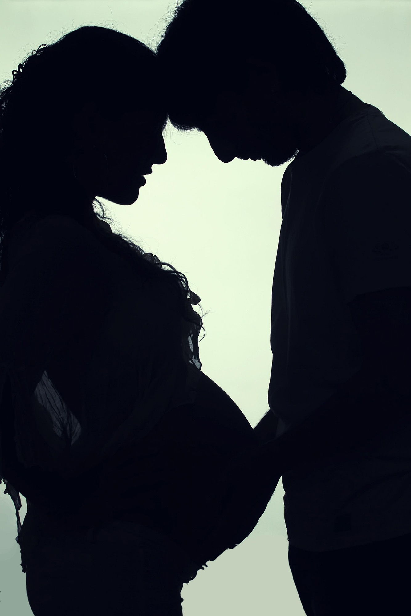 Pregnancy Portrait Package - Image 5